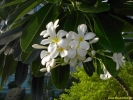 PICT2572.jpg