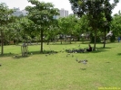 PICT2581.jpg
