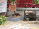 PICT2611.jpg