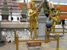 PICT2644.jpg