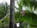 PICT2686.jpg