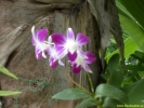 PICT2701.jpg