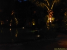 PICT2705.jpg