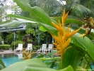 PICT2733.jpg