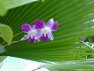 PICT2735.jpg