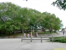 PICT2828.jpg