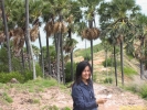 Filename=PICT2835.jpg
Filesize=292KiB
Dimensions=640x480
Date added=Apr 29, 2004 PICT2835.jpg