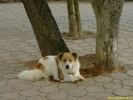 PICT2846.jpg