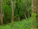 PICT2850.jpg