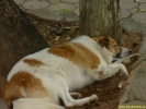 PICT2851.jpg