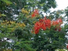 PICT2852.jpg