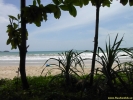 PICT2918.jpg