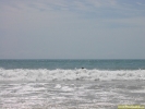 PICT2966.jpg