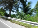 PICT3024.jpg