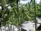 Filename=PICT3027.jpg
Filesize=345KiB
Dimensions=640x480
Date added=Apr 29, 2004 PICT3027.jpg