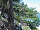 PICT3028.jpg