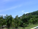PICT3033.jpg