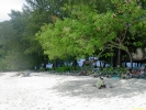 PICT3105.jpg