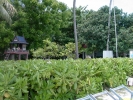 PICT3108.jpg