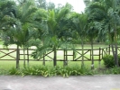 Filename=PICT3124.jpg
Filesize=983KiB
Dimensions=1600x1200
Date added=Apr 29, 2004 PICT3124.jpg