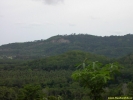PICT3130.jpg