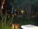 PICT3140.jpg
