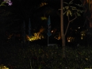 PICT3143.jpg