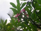 PICT3220.jpg