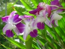 PICT3221.jpg