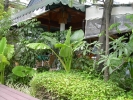 PICT3242.jpg