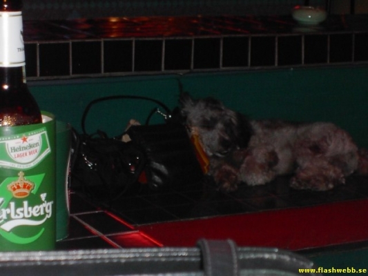 PICT3904.jpg