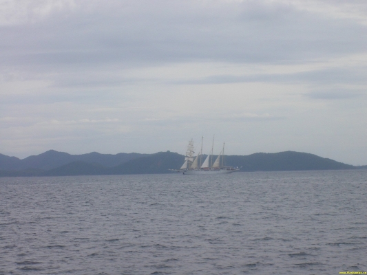 PICT4041.jpg