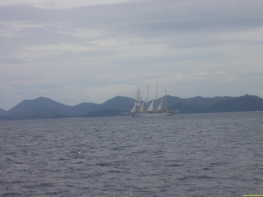 PICT4042.jpg