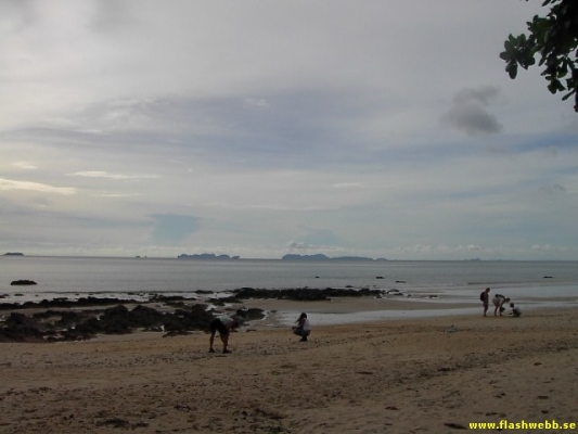 PICT4057.jpg