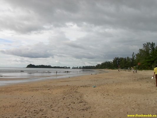 PICT4063.jpg