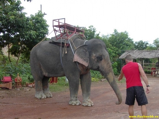 PICT4087.jpg