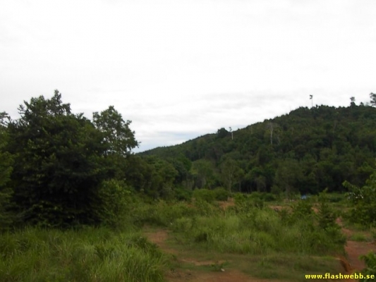 PICT4091.jpg