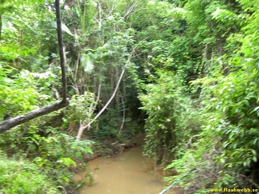 PICT4093.jpg