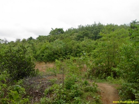 PICT4105.jpg