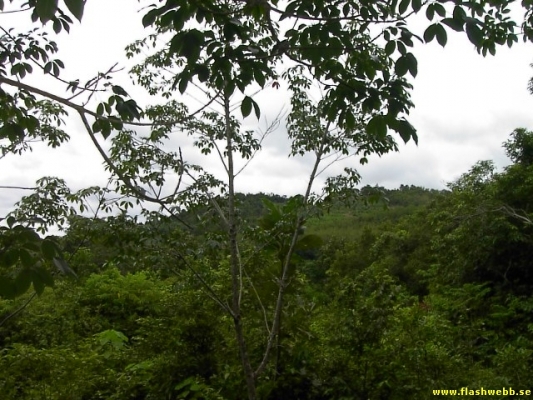 PICT4107.jpg