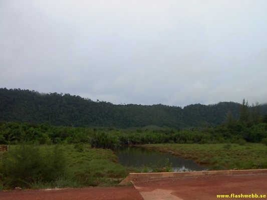 PICT4109.jpg