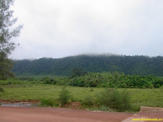 PICT4111.jpg