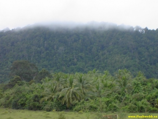 PICT4112.jpg