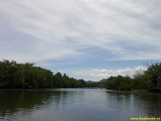 PICT4123.jpg