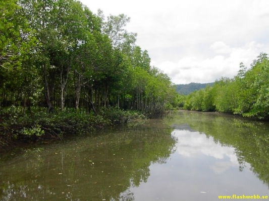 PICT4133.jpg