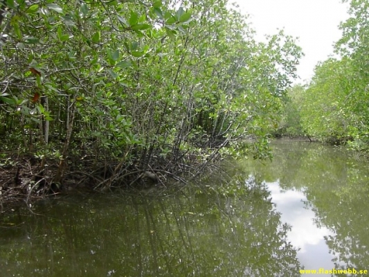 PICT4135.jpg