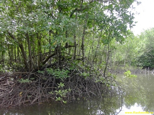 PICT4136.jpg