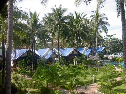 PICT4156.jpg