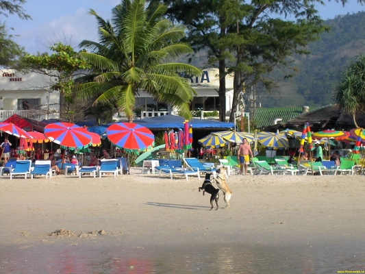 PICT4381.jpg