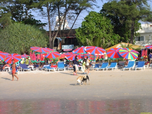 PICT4382.jpg